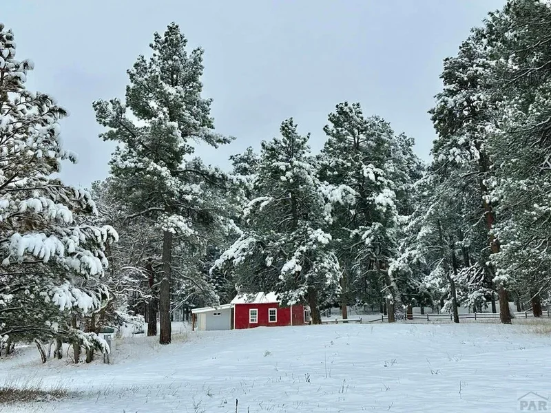 8695 Pine Dr, Beulah, CO 81023, Beulah Valley, Colorado, United States. - Photo 74