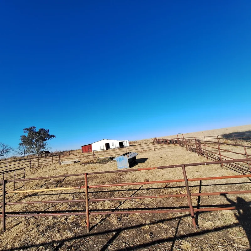 Frankfort, Free State, South Africa. - Photo 20