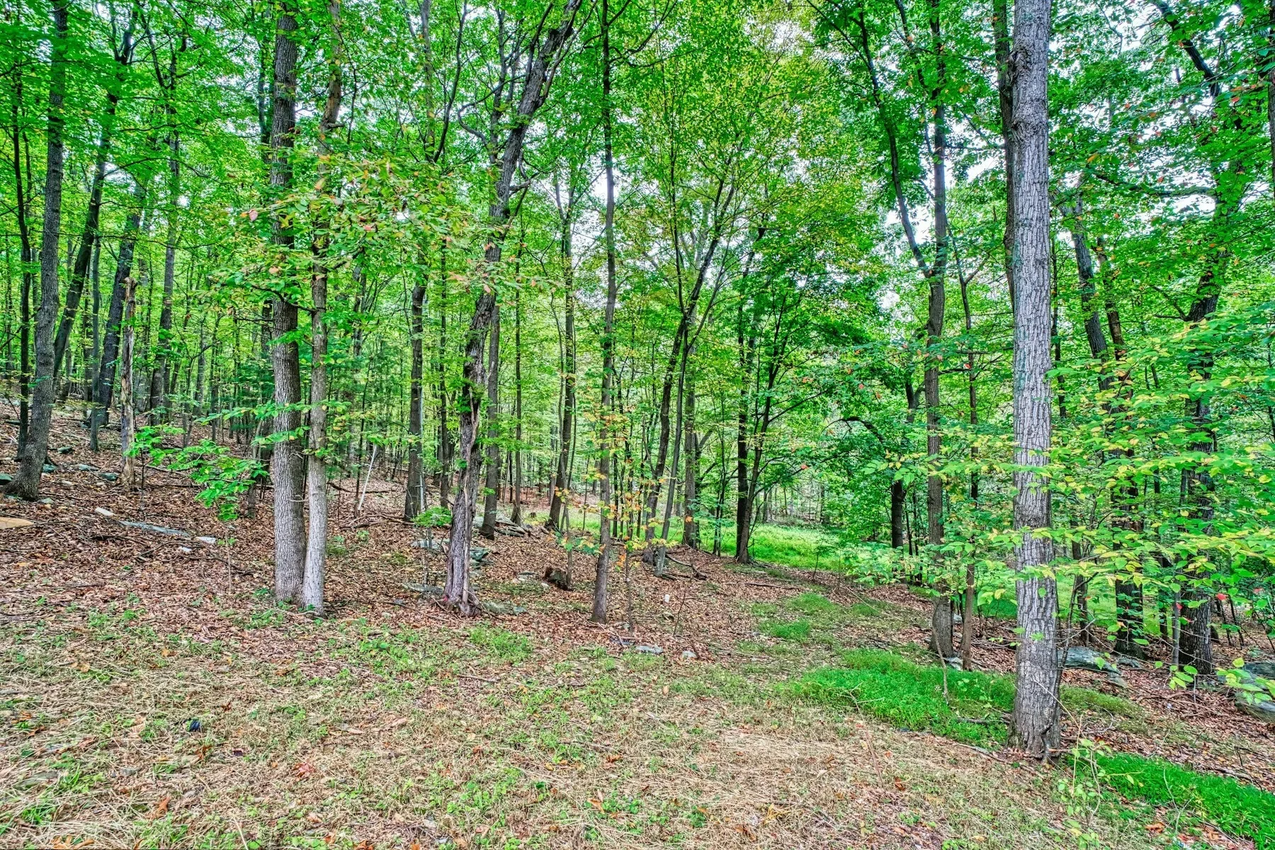 37740 Long Lane, Lovettsville, VA 20180, Lovettsville, Virginia, United States. - Photo 42