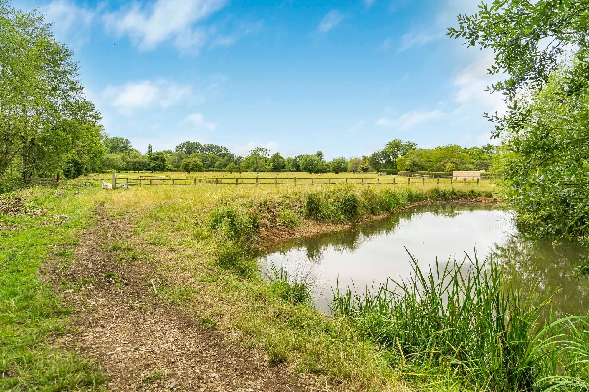 Church Farm House, Northmoor, Witney, OX29 5SX, Northmoor, England, United Kingdom. - Photo 65