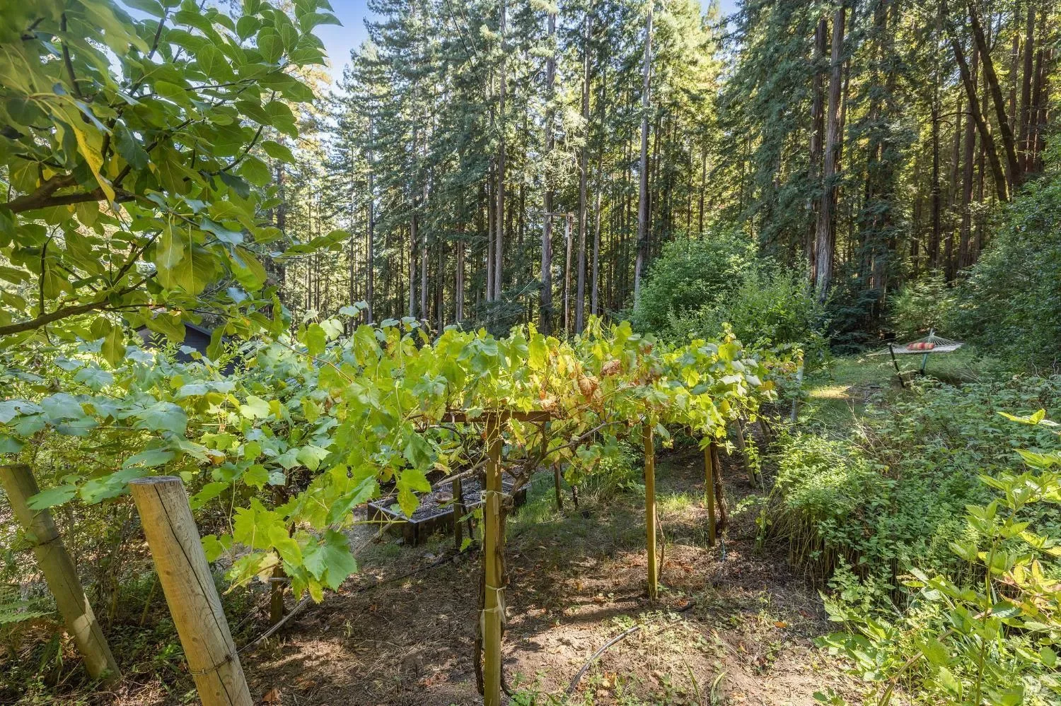17970 Duncan Road, Guerneville, CA, 95446, USA, Guerneville, California, United States. - Photo 31
