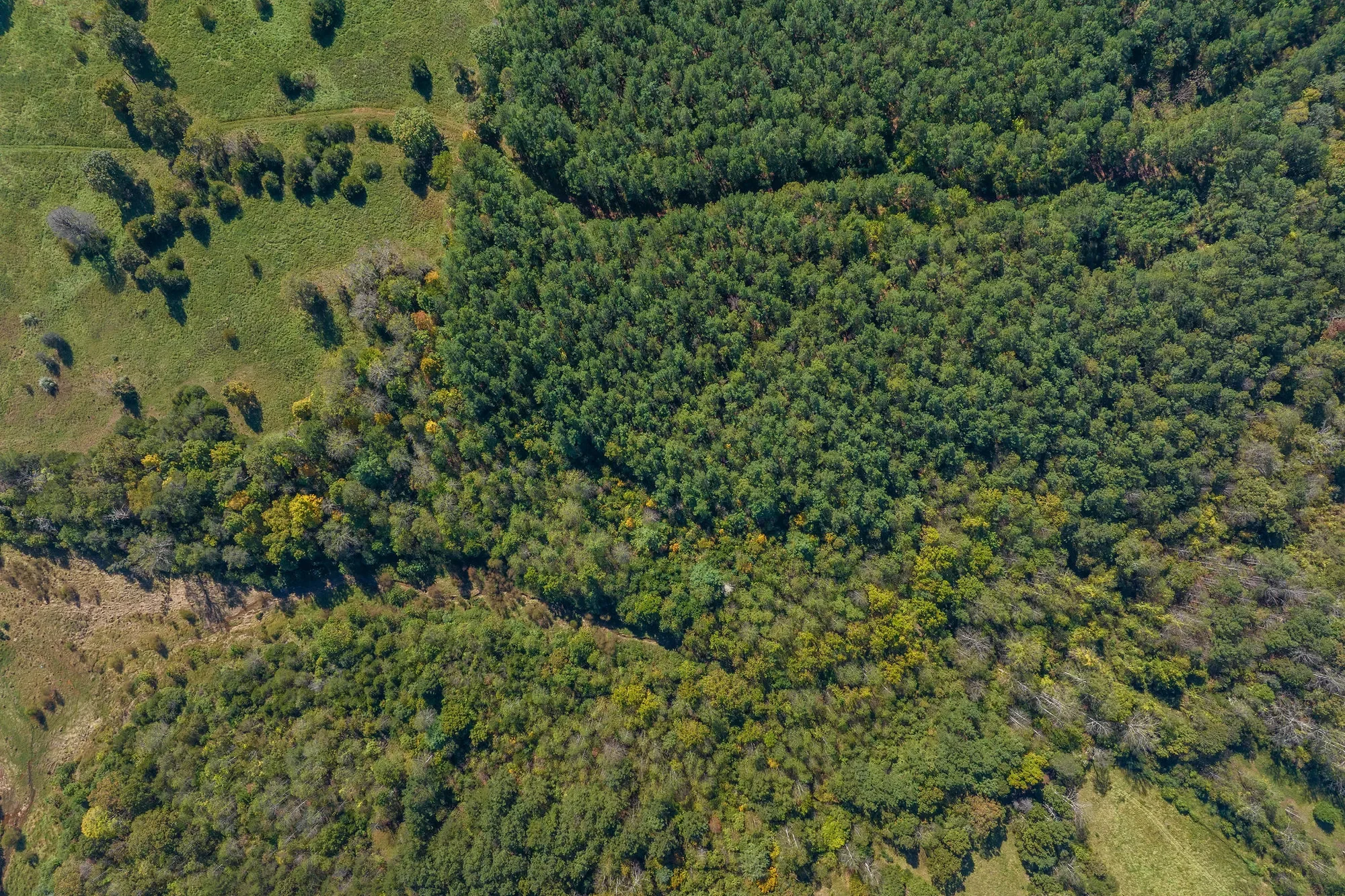 955 Simmons Gap Rd, Dyke, VA 22935, Dyke, Virginia, United States. - Photo 40