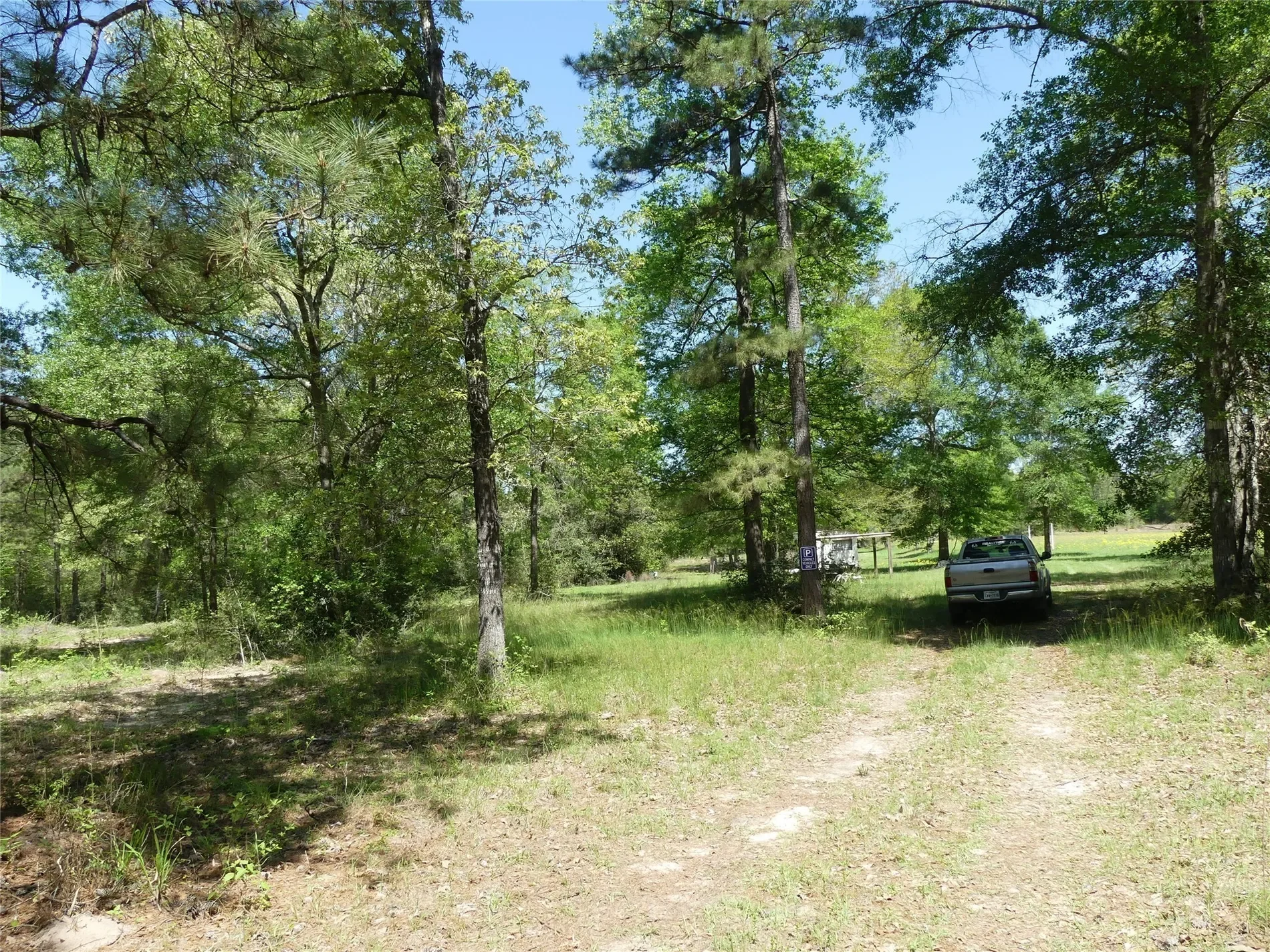 Gallery photo 11