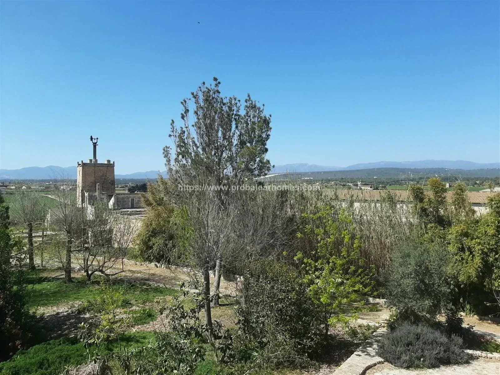 PALMA DE MALLORCA, Baleares, PALMA DE MALLORCA, Palma, Balearic Islands, Spain. - Photo 24