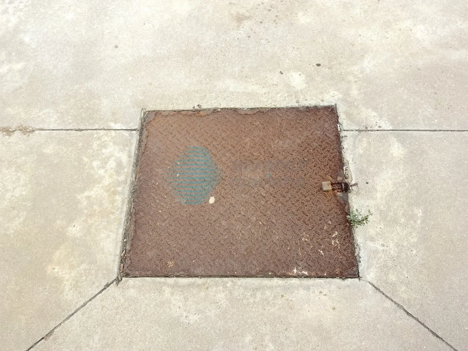 Gallery photo 11