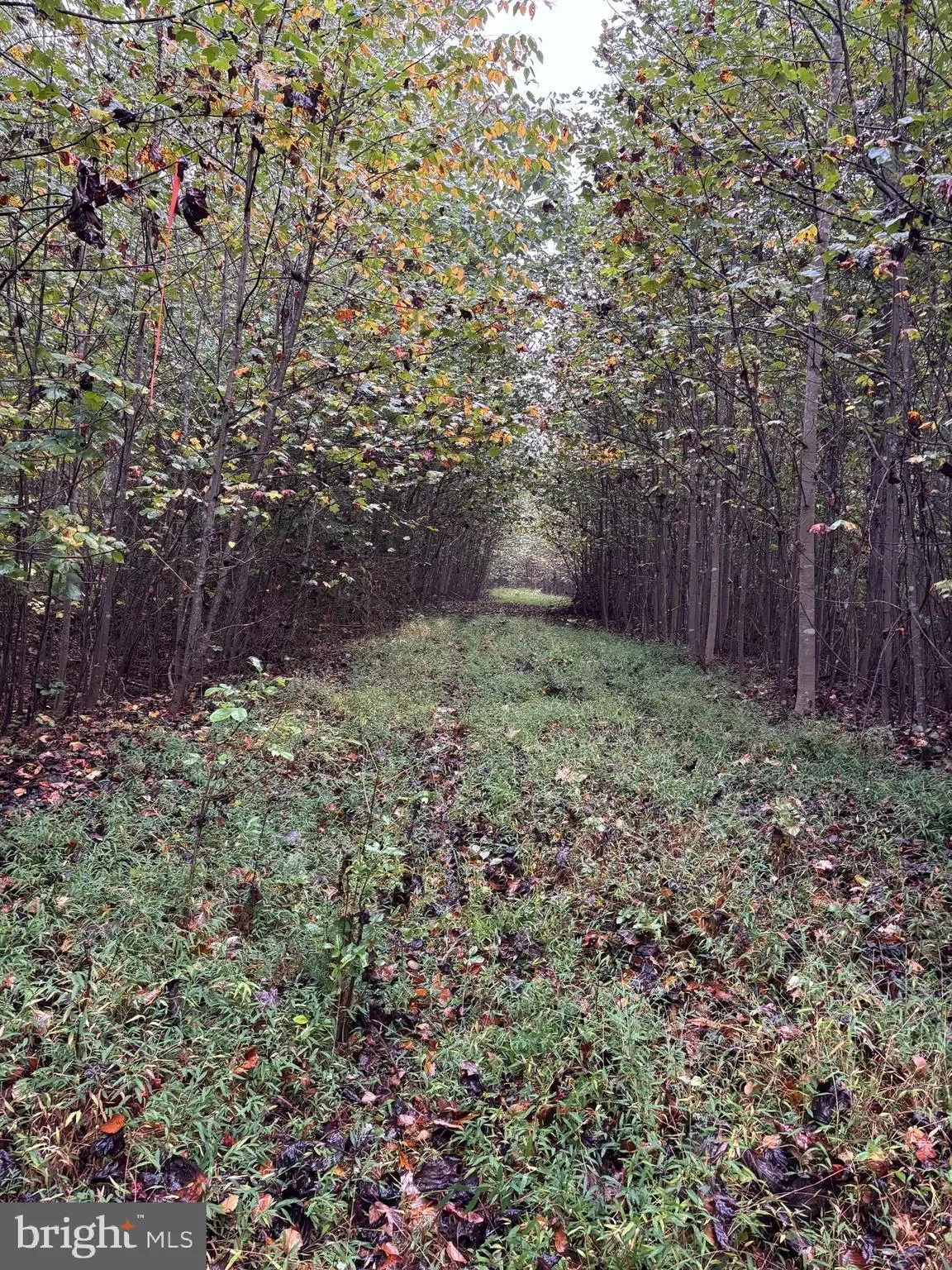 Gallery photo 6