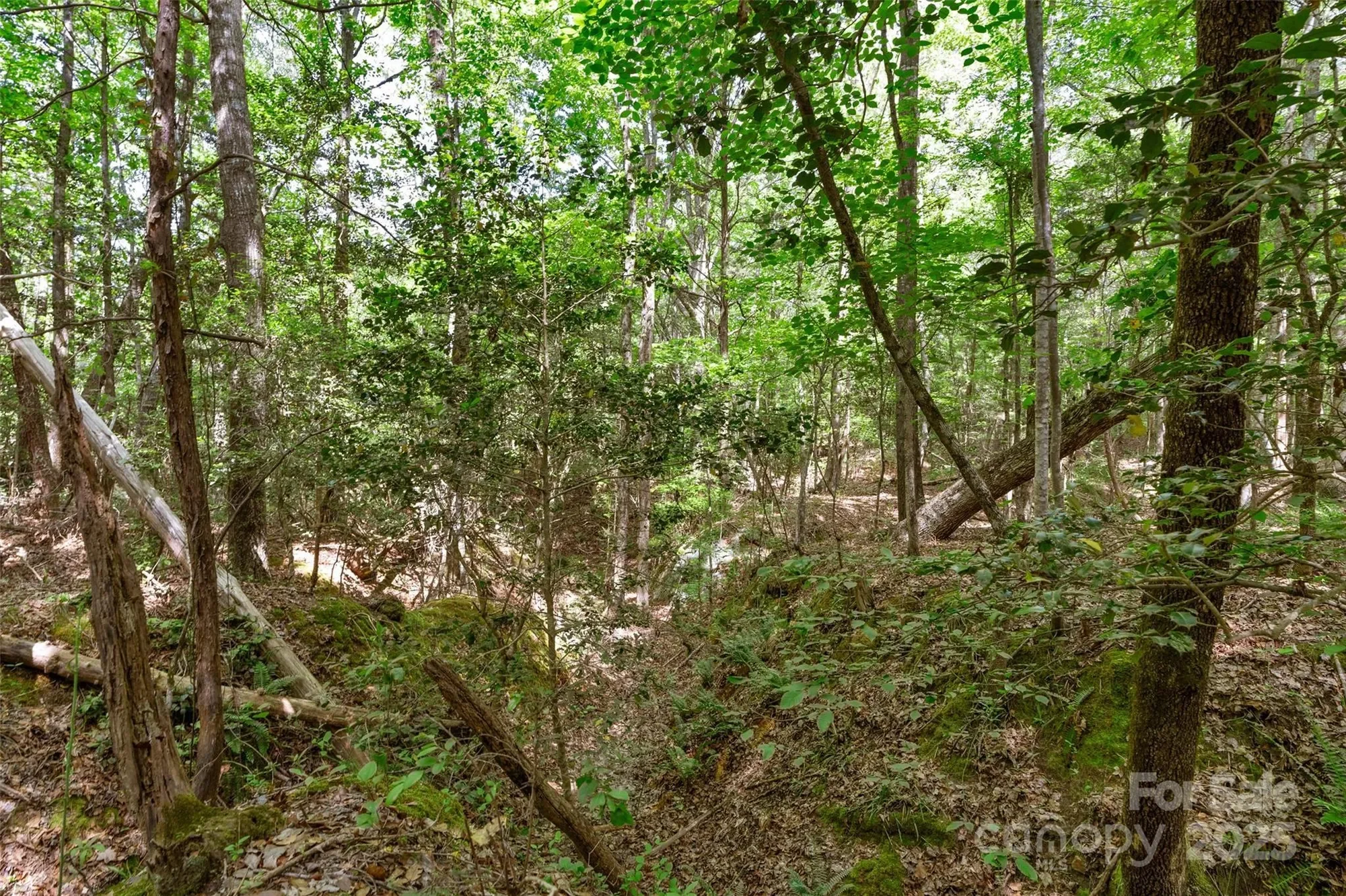 Gallery photo 3