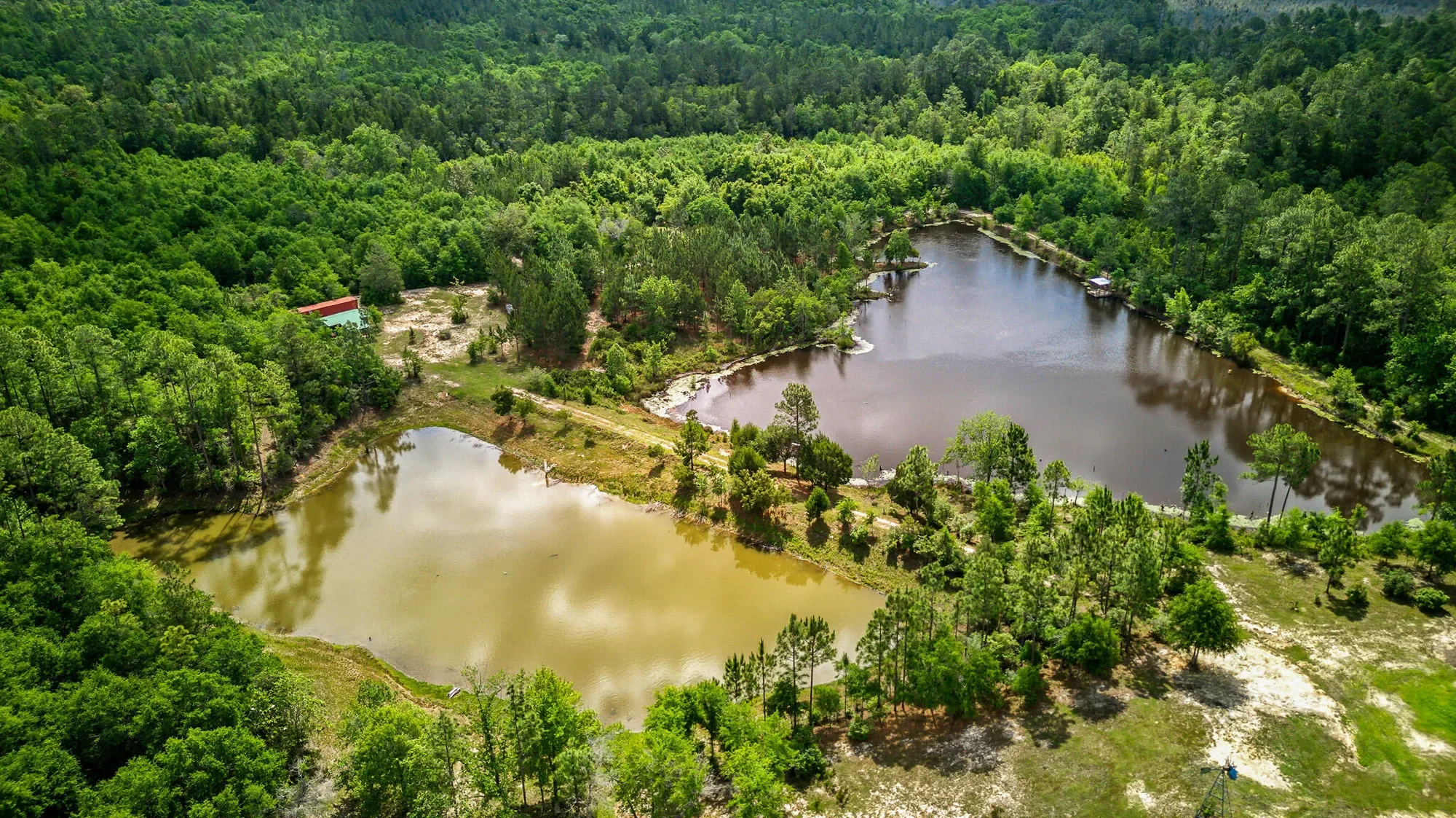 5105 Pasco Broxson Circle, Holt, FL 32564, Holt, Florida, United States. - Photo 13