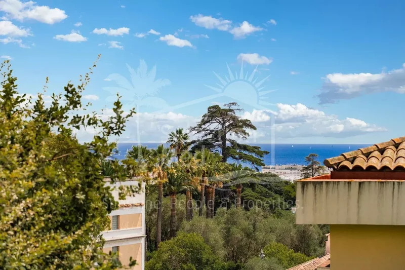 Cannes, Provence-Alpes-Côte d'Azur, France. - Photo 4