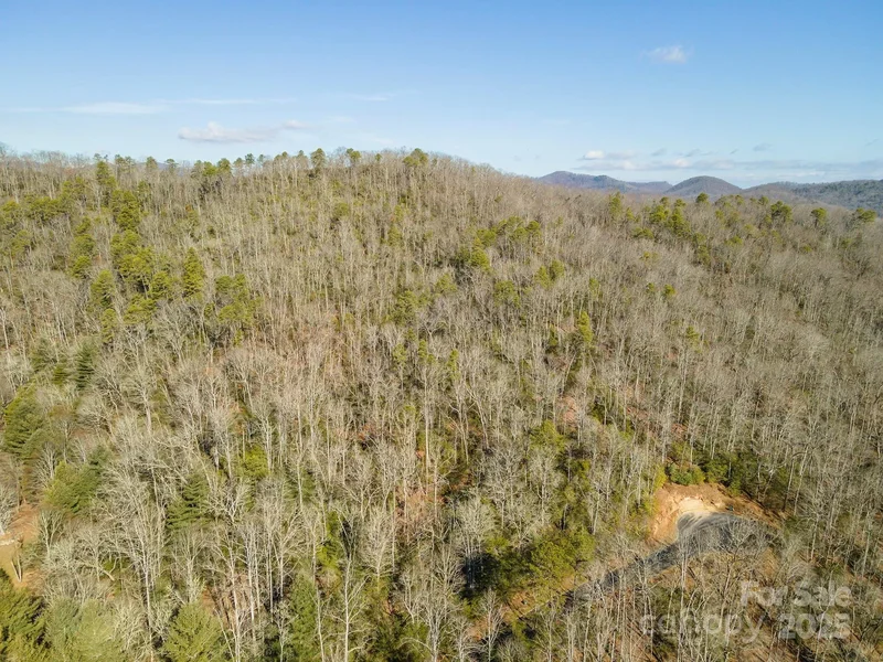 99999 Caddis Lane 92, Horse Shoe, North Carolina, United States. - Photo 11