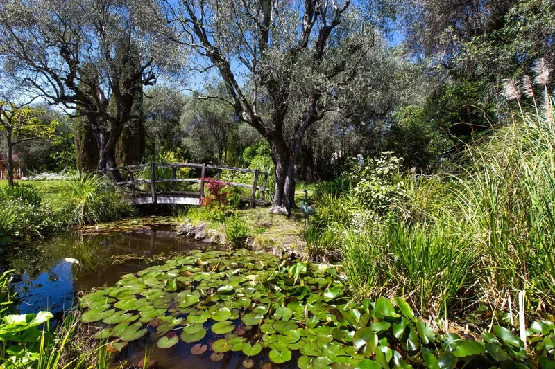 Grasse, Provence-Alpes-Côte d'Azur, France. - Photo 8