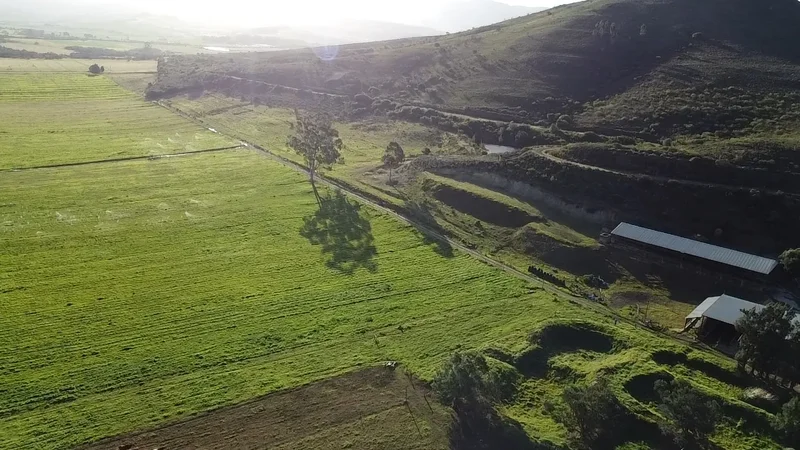 Riversdale, Western Cape, South Africa. - Photo 9