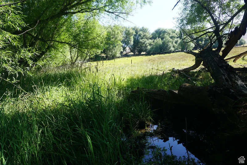 1570 W Main Rd, Wallsburg, UT 84082, Wallsburg, Utah, United States. - Photo 21