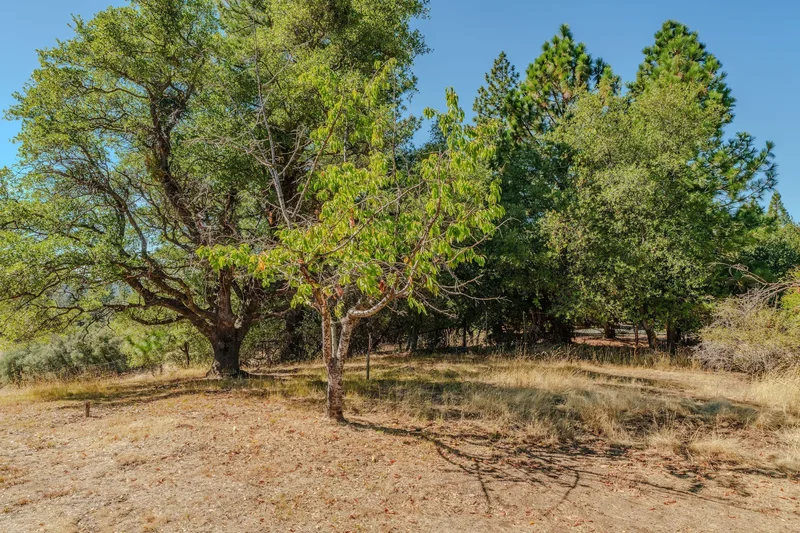17900 Holly Road , Fiddletown, CA 95629, Fiddletown, California, United States. - Photo 71