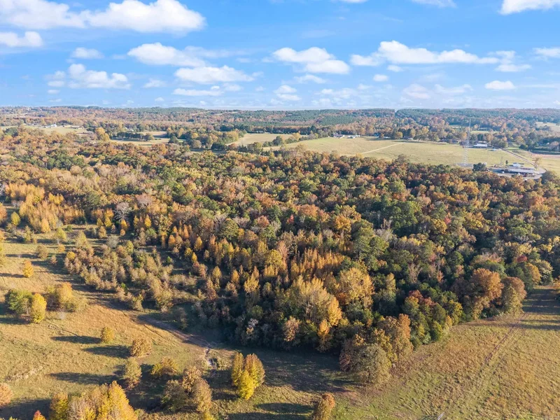 172 Blackfork Road, Greenbrier, AR 72058, Greenbrier, Arkansas, United States. - Photo 2