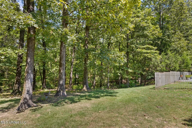 4005 Pintail Cove, Oxford, MS 38655, Oxford, Mississippi, United States. - Photo 66