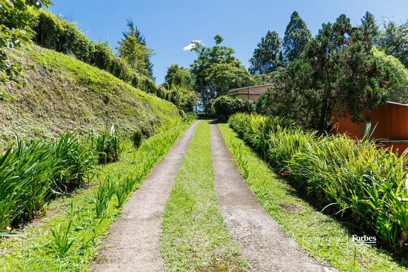 Tarbaca, San José, Aserrí, Costa Rica, San José Province, Costa Rica. - Photo 5