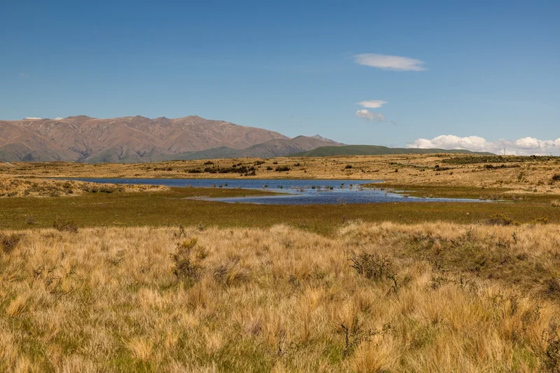 Ohau Downs Station  Lake Ohau, Ohau, OTA, Lake Ōhau, Canterbury, New Zealand. - Photo 16