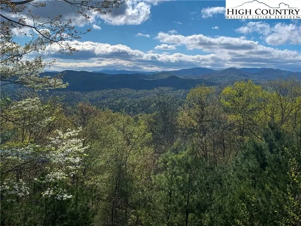675 Cabin Ridge Road, Ferguson, NC 28624, Ferguson, North Carolina, United States. - Photo 36