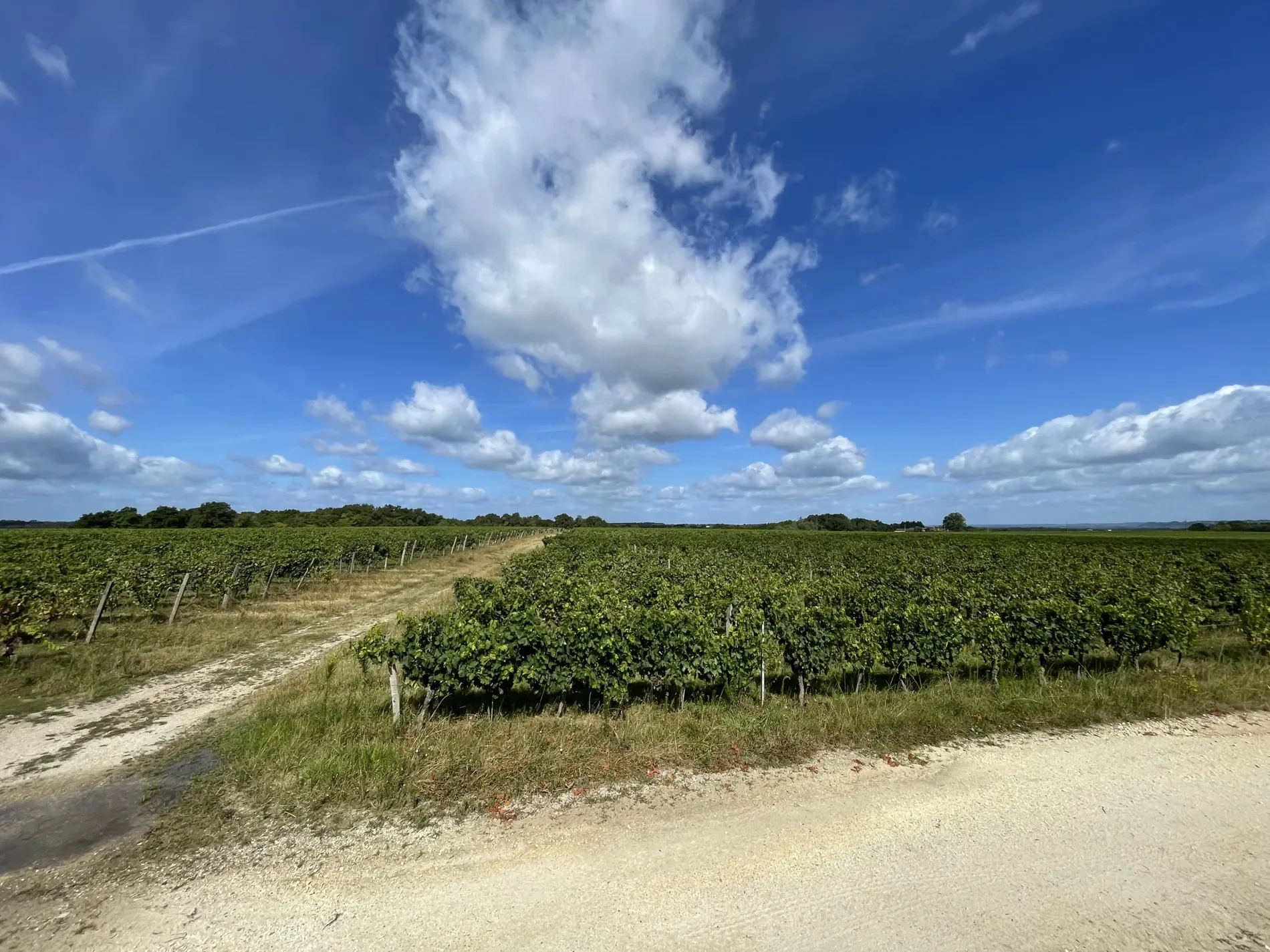 Langon, Nouvelle-Aquitaine, France. - Photo 3