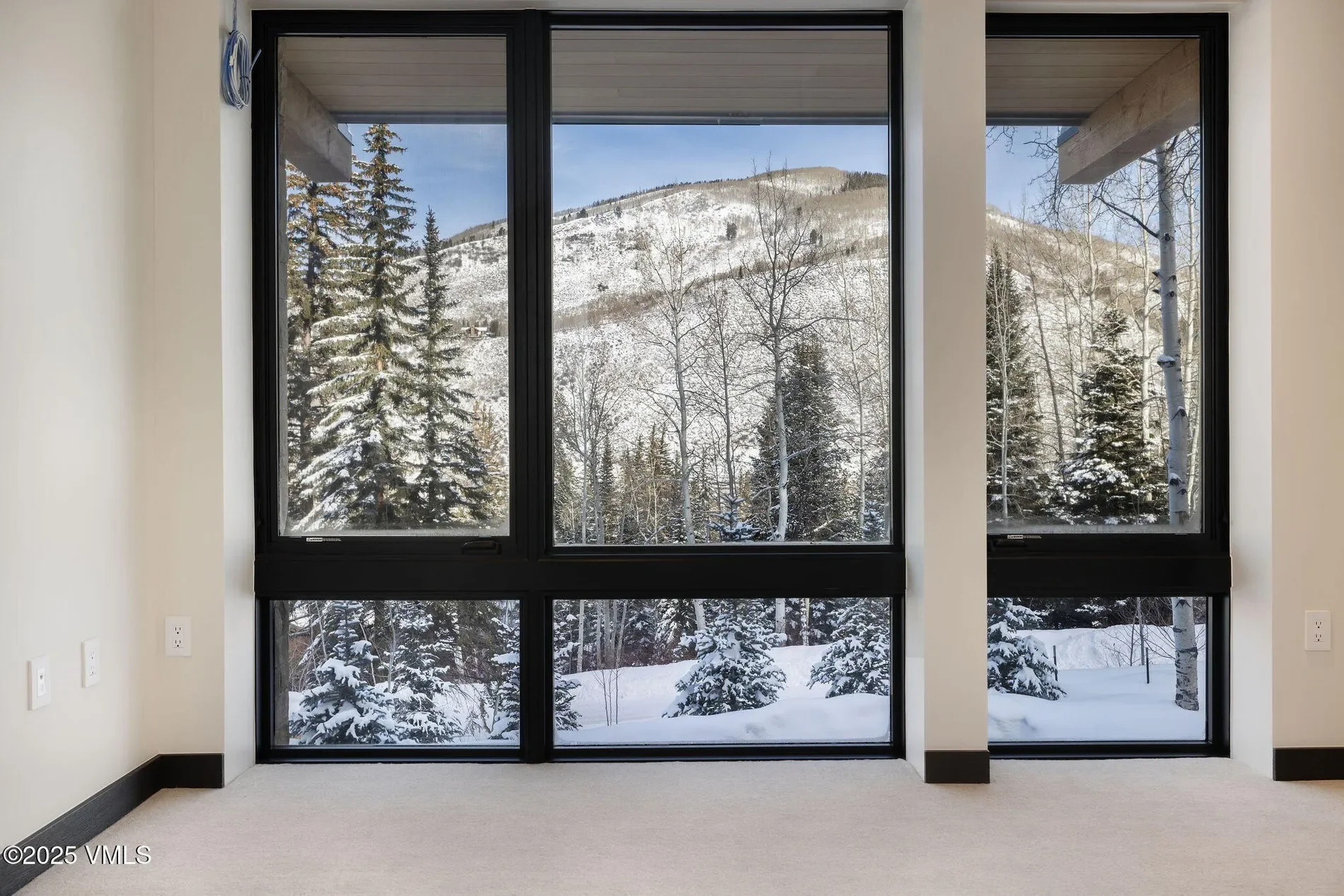 366 Forest Road, Vail, CO, 81657, USA, Vail, Colorado, United States. - Photo 28