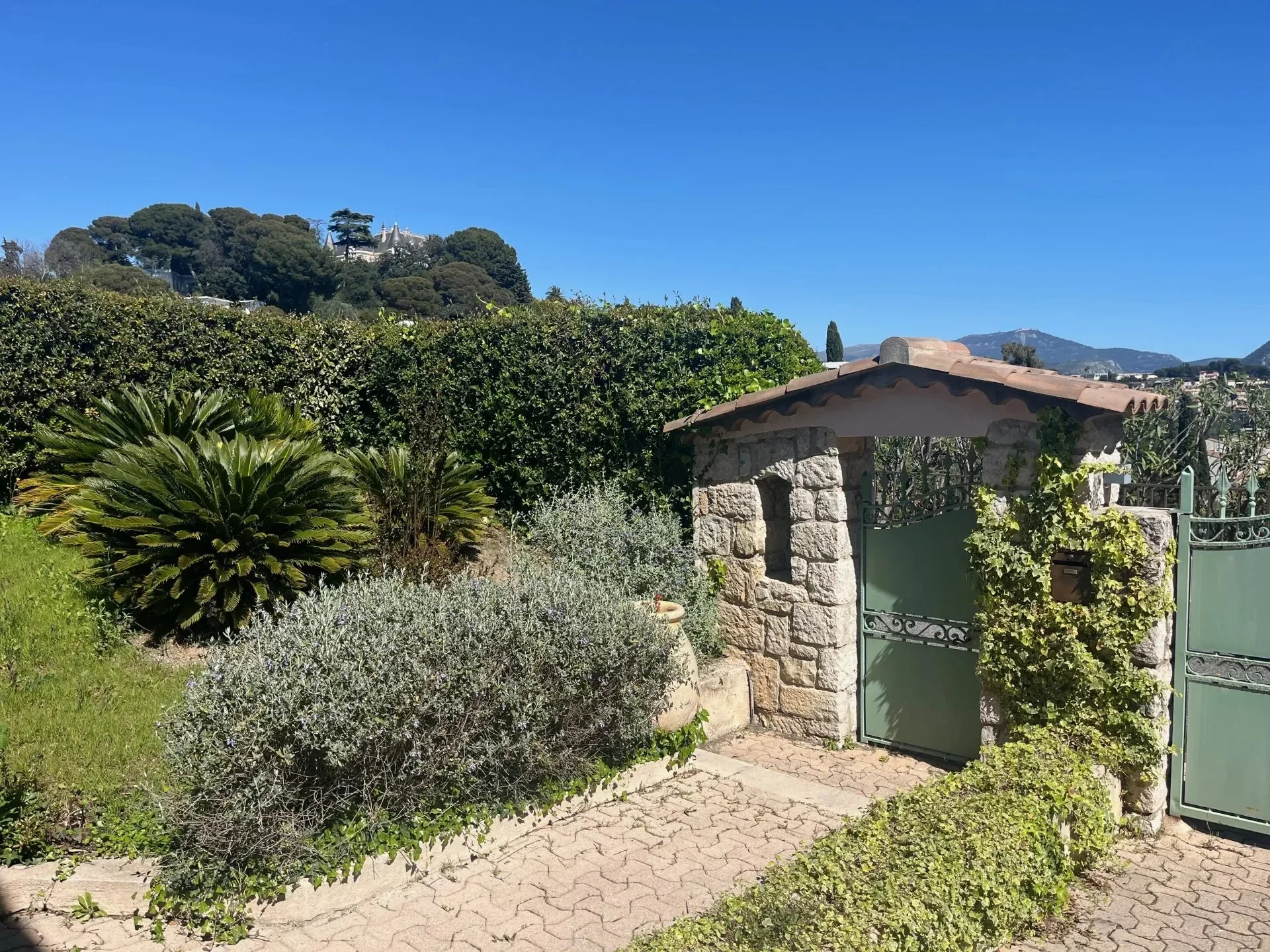 Nice, Provence-Alpes-Côte d'Azur, France. - Photo 30