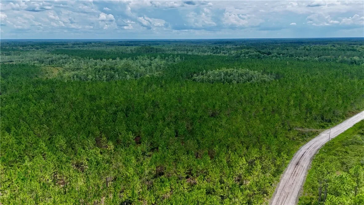 0 Fire Tower Road, Manor, GA 31550, Manor, Georgia, United States. - Photo 3