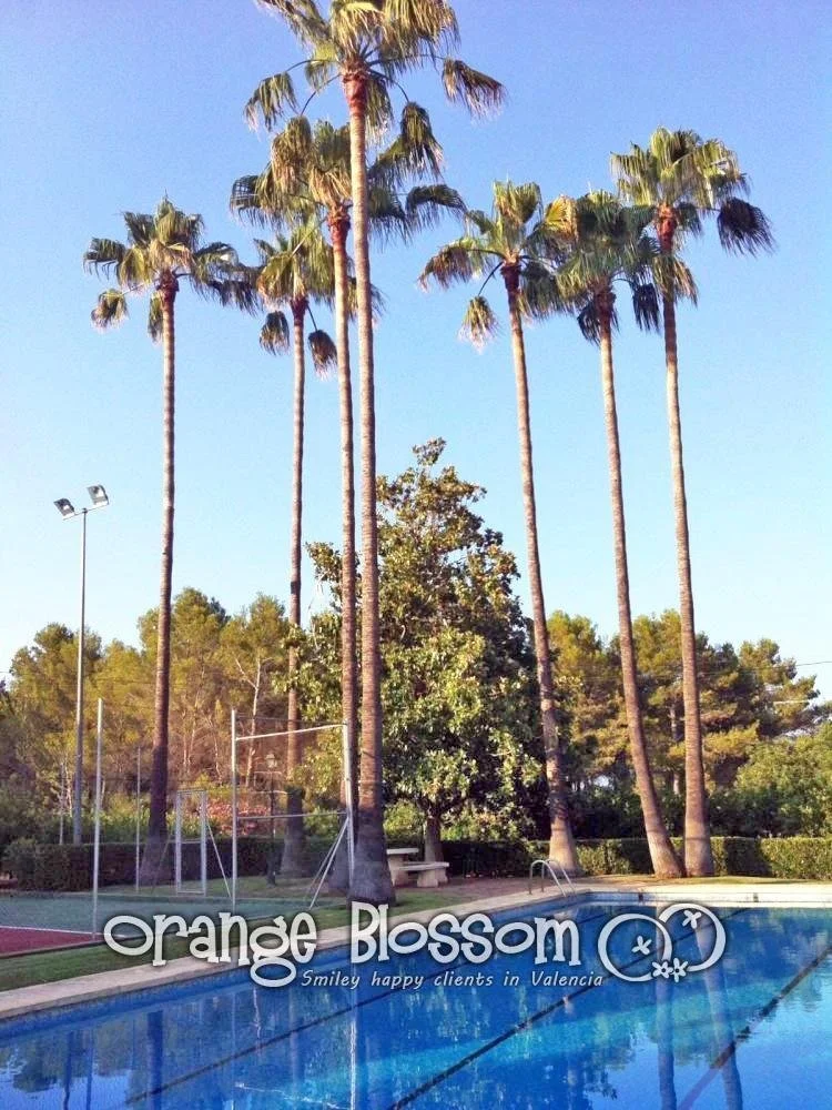 Urbanizaciones, Gandia, Valencia, Gandia, Gandia, Valencian Community, Spain. - Photo 5