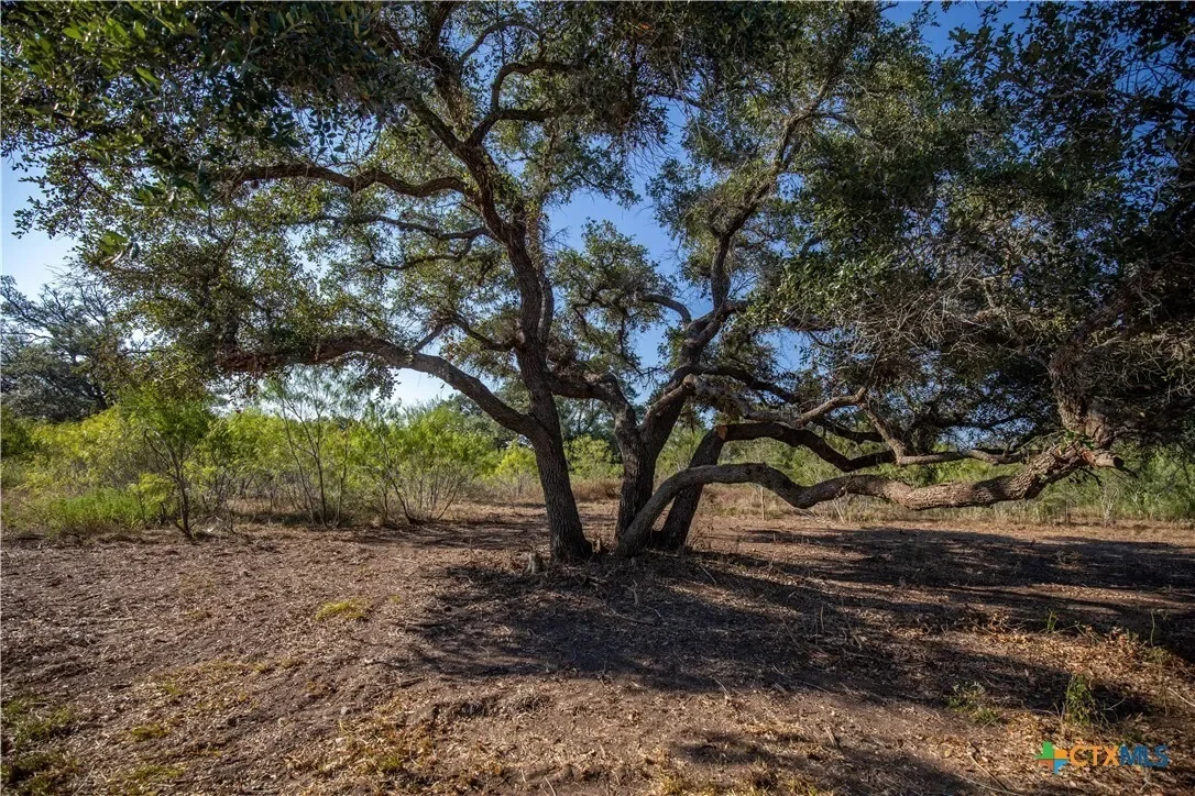 000 Stratton Road, Yoakum, TX 77995, Yoakum, Texas, United States. - Photo 7