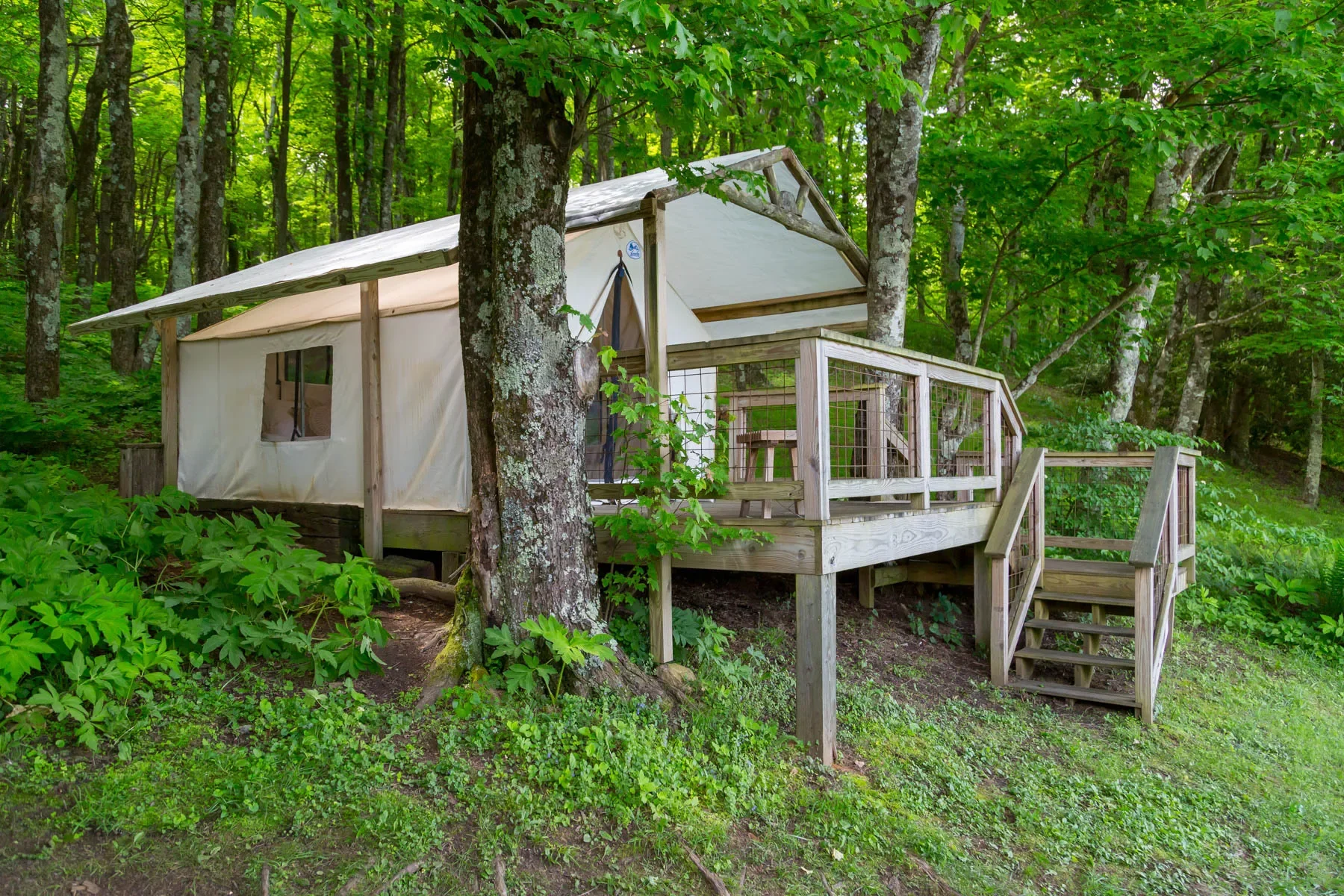 174 Sarvisberry Lane SW, Floyd, VA 24091, Floyd, Virginia, United States. - Photo 54