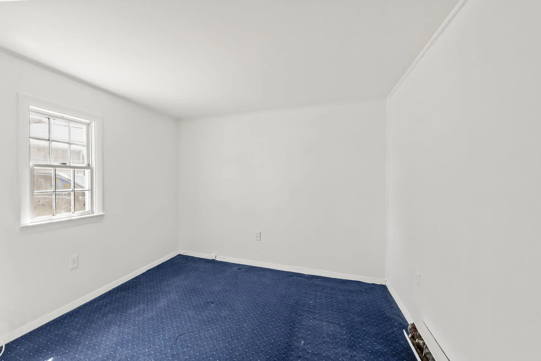 Gallery photo 6