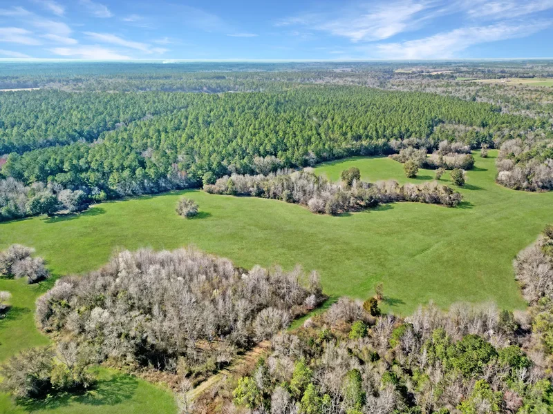 4343 East Plympton Road , Laurel Hill, FL 32567, Laurel Hill, Florida, United States. - Photo 50
