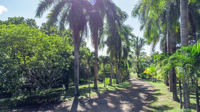 Vila Escondida, Puerto Carrillo, Guanacaste Province, Costa Rica. - Photo 18