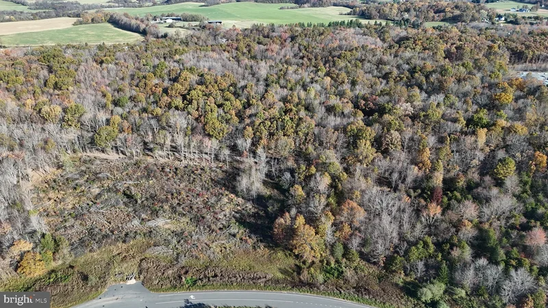 Lot 7 WHITING ROAD, MARSHALL, VA 20115, Marshall, Virginia, United States. - Photo 15