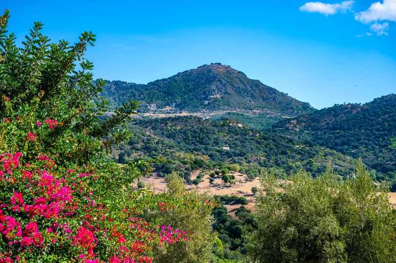 29480 Gaucín, Málaga, Spain, Gaucin, Andalusia, Spain. - Photo 45