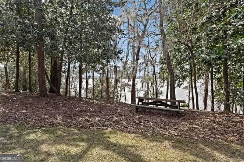 12 Rosalyn Road, Savannah, Georgia, United States. - Photo 13