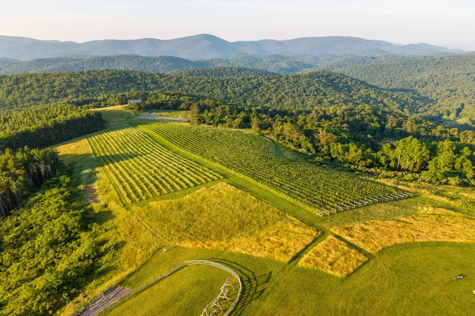 24981 Blue Ridge Parkway, Vesuvius, VA 22032, Vesuvius, Virginia, United States. - Photo 47