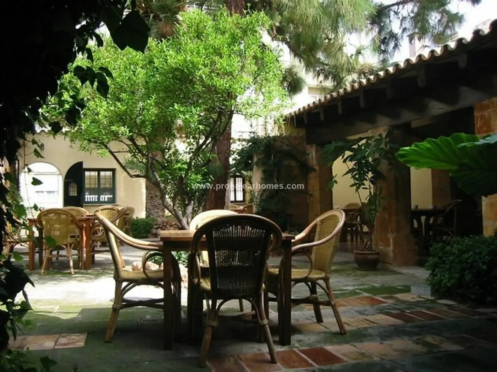 EL TERRENO, PALMA DE MALLORCA, Baleares, PALMA DE MALLORCA, Palma, Balearic Islands, Spain. - Photo 14