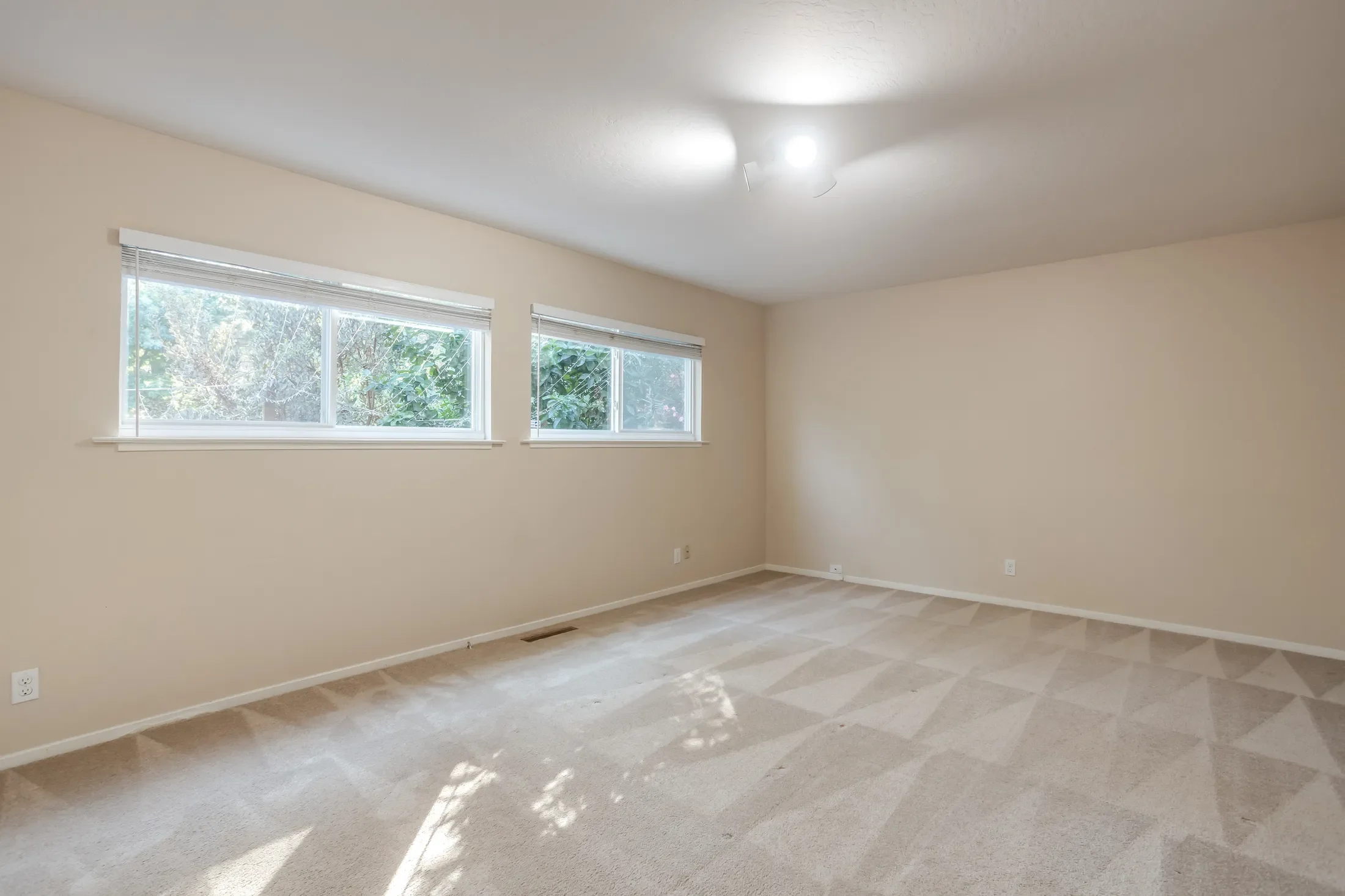 Gallery photo 3