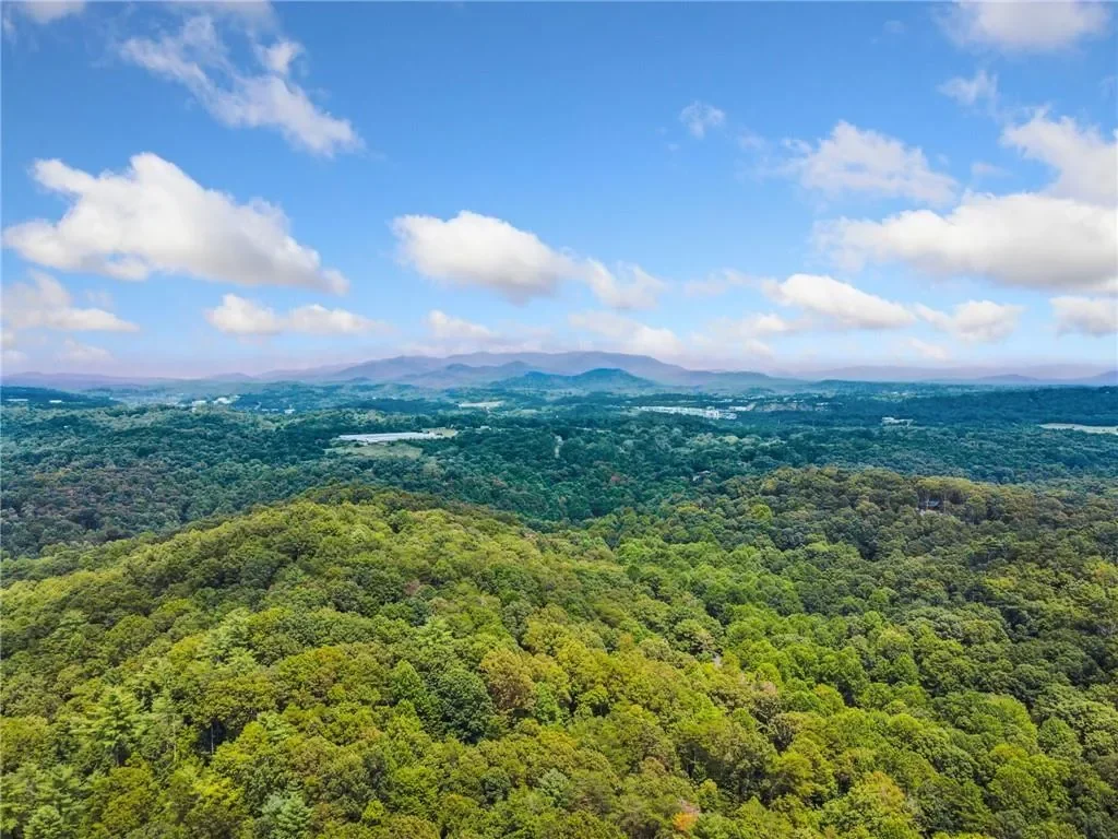 20 CREST Circle, Ellijay, Georgia, United States. - Photo 48