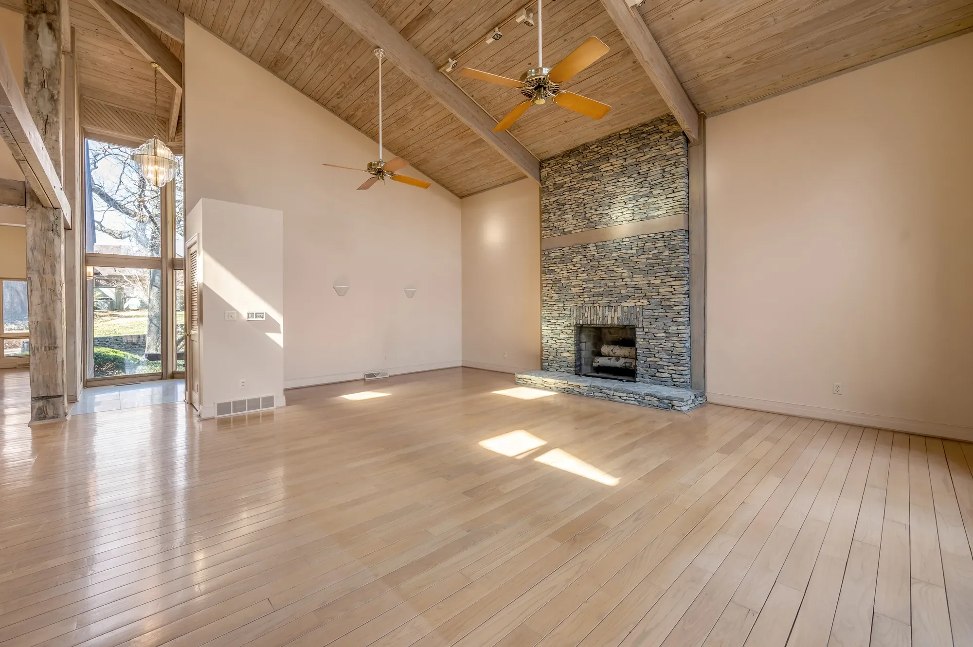 Gallery photo 5
