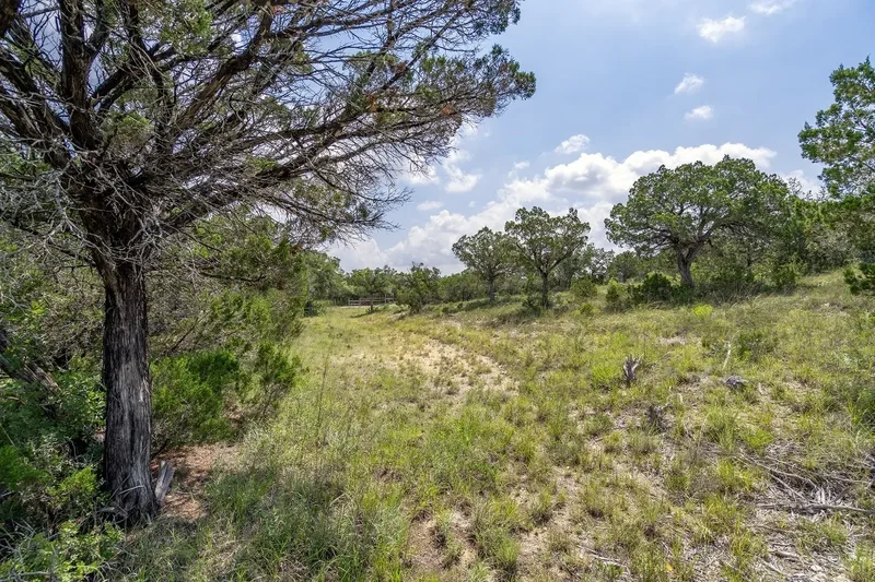 19705 Tyler Trail, Jonestown, TX 78645, Jonestown, Texas, United States. - Photo 24