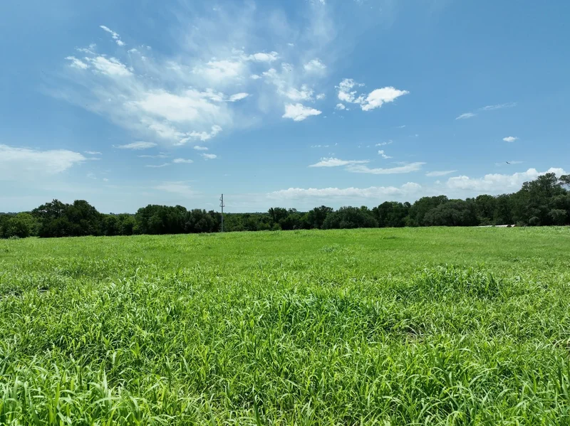 4410 Clay Creek Road, Brenham, TX 77833, Brenham, Texas, United States. - Photo 11