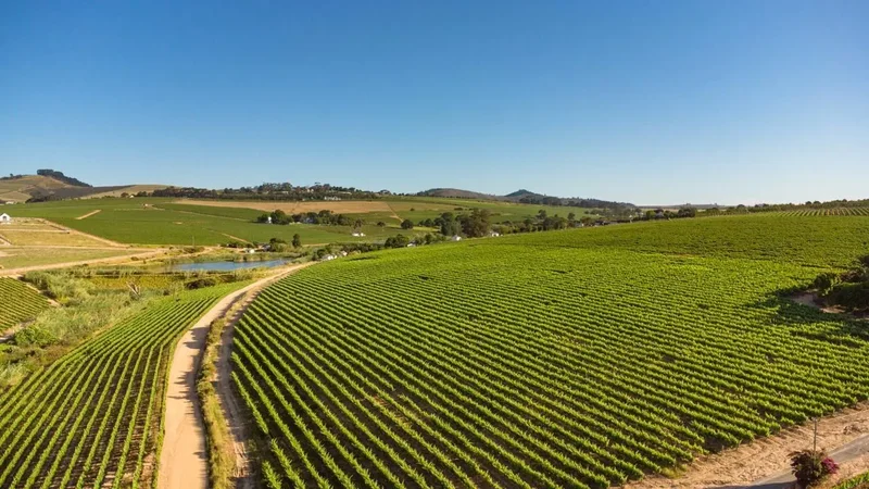 Stellenbosch, Western Cape, South Africa. - Photo 20