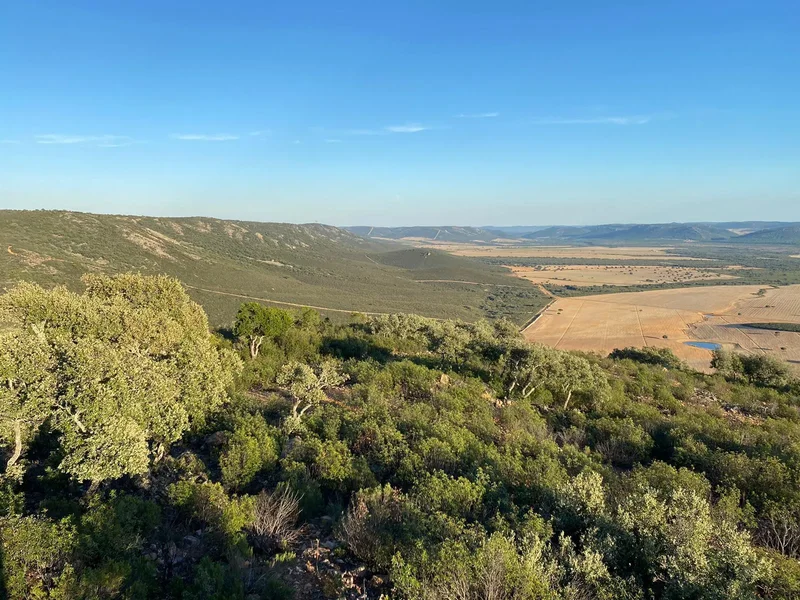 Ciudad Real, Spain, Ciudad Real, Castile-La Mancha, Spain. - Photo 9