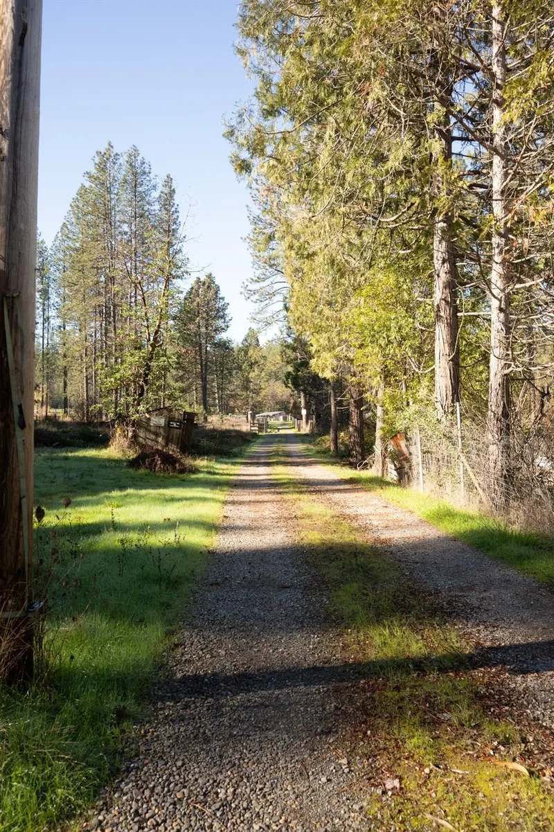 16558 Frenchtown Road, Brownsville, CA 95919, Challenge-Brownsville, California, United States. - Photo 25