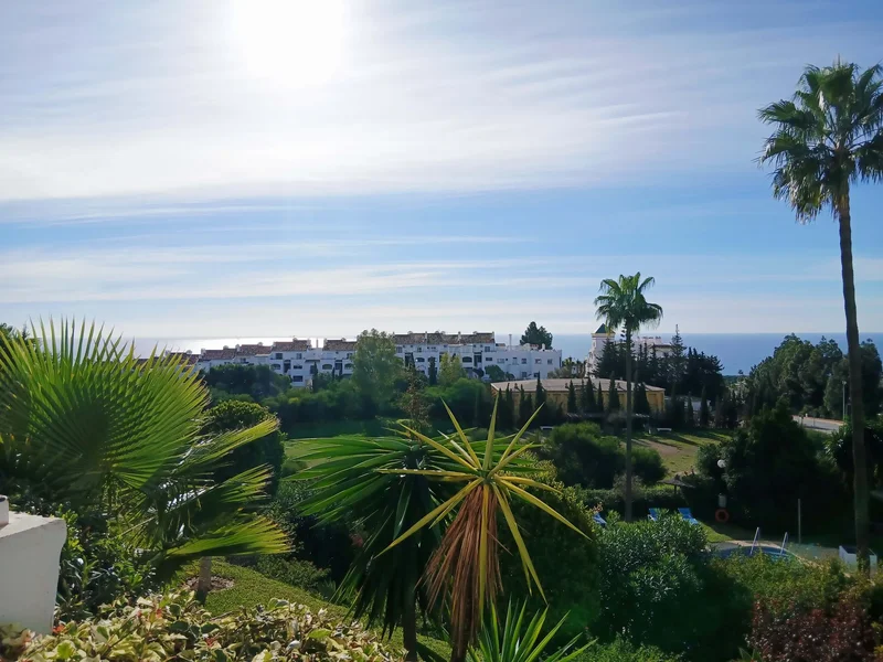 Mijas, Andalusia, Mijas, Andalusia, Spain. - Photo 12
