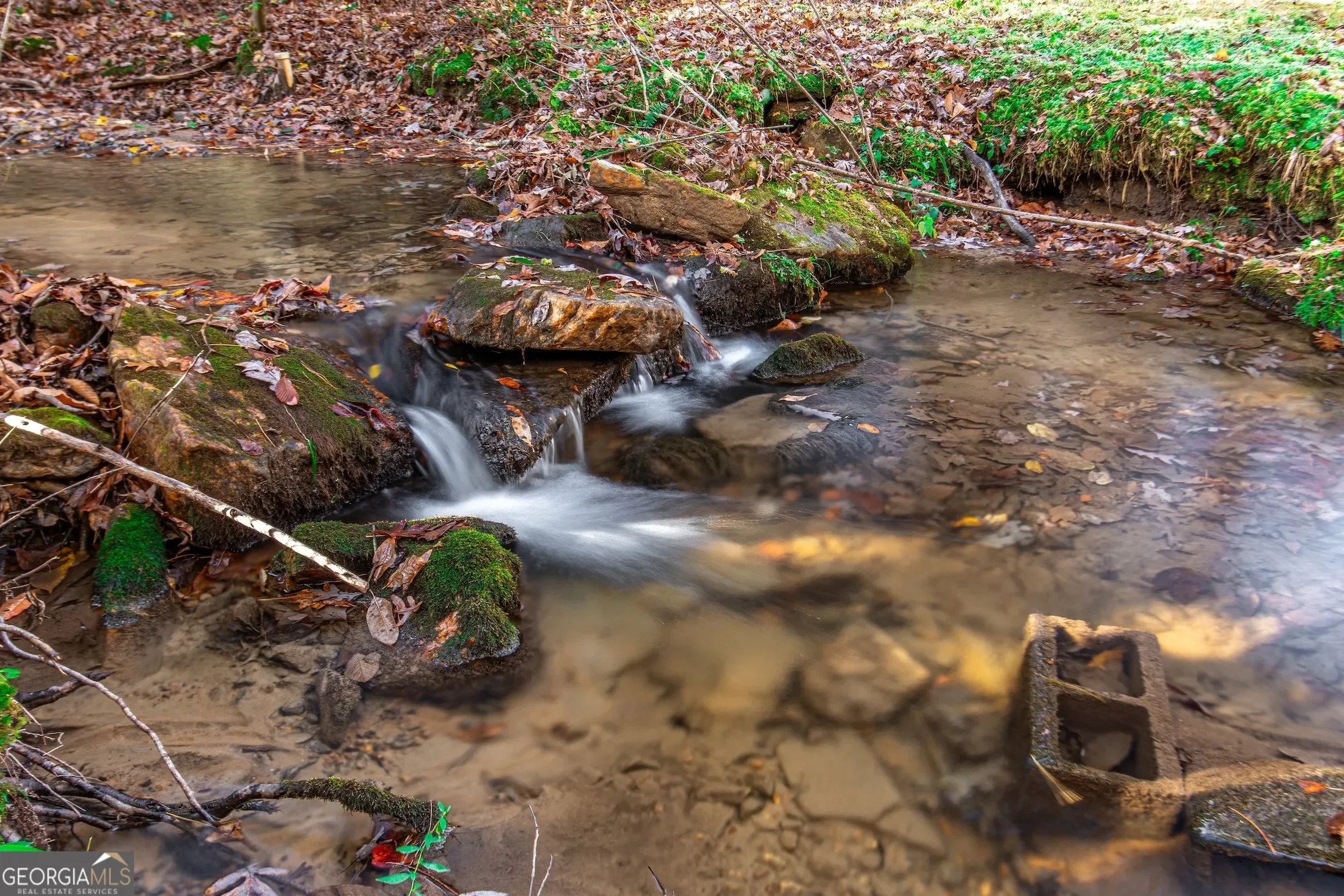 339 Wehunt RD, Blue Ridge, Georgia, United States. - Photo 57