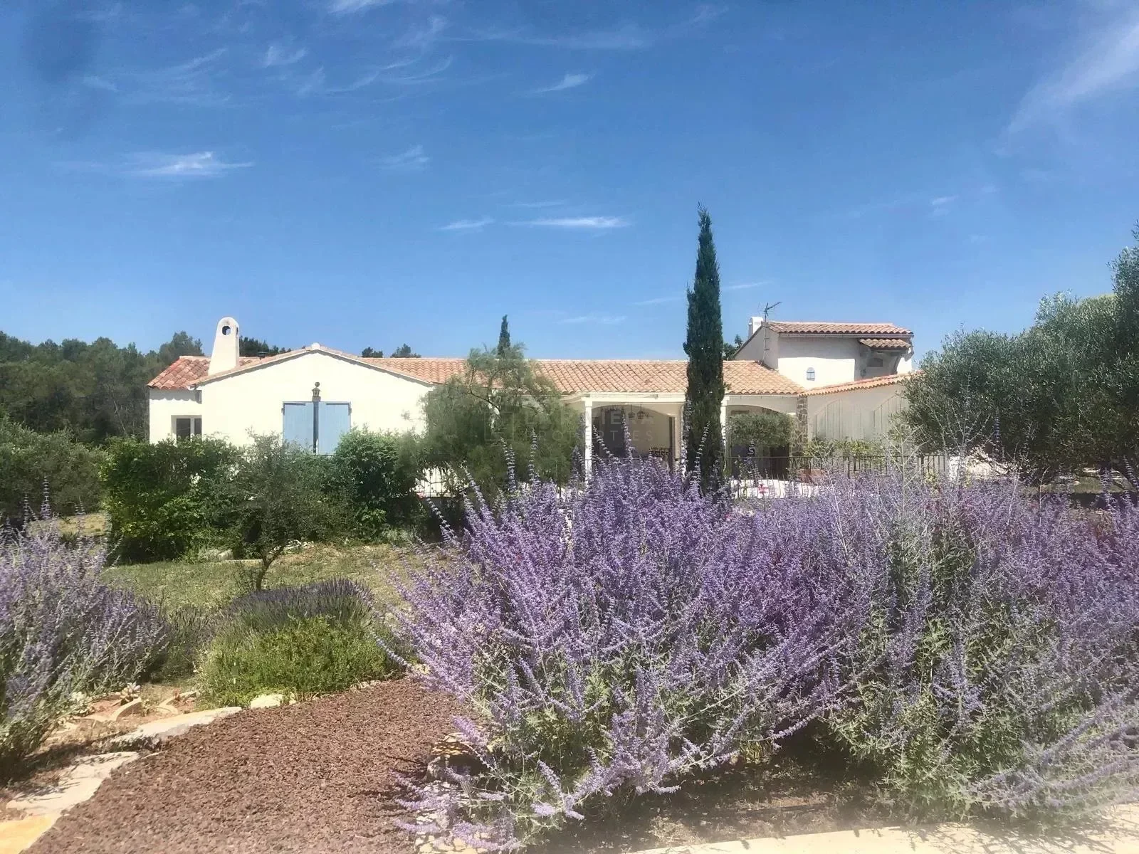 Pignans, Provence-Alpes-Côte d'Azur, France. - Photo 11