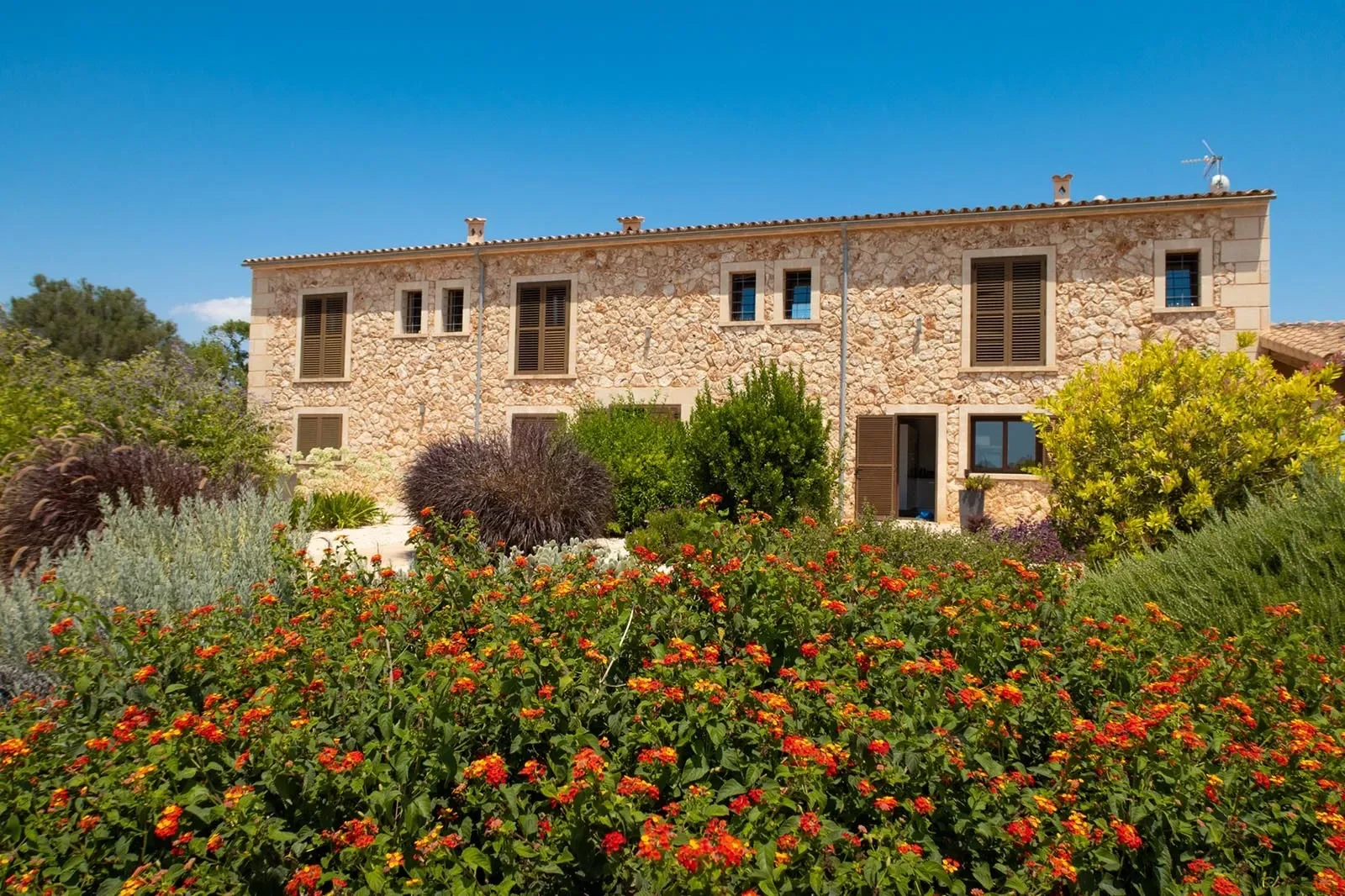Llucmajor, Mallorca, Llucmajor, Llucmajor, Balearic Islands, Spain. - Photo 6
